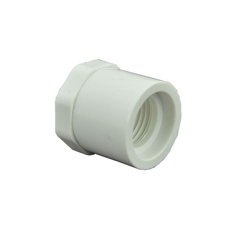 Schedule 40 PVC Reducer Bushing - Spigot x FIPT
