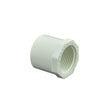 Sch 40 PVC Reducer Bushing
