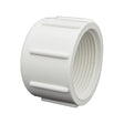 1-1/4" Sch 40 PVC Cap - FPT Threaded 448-012