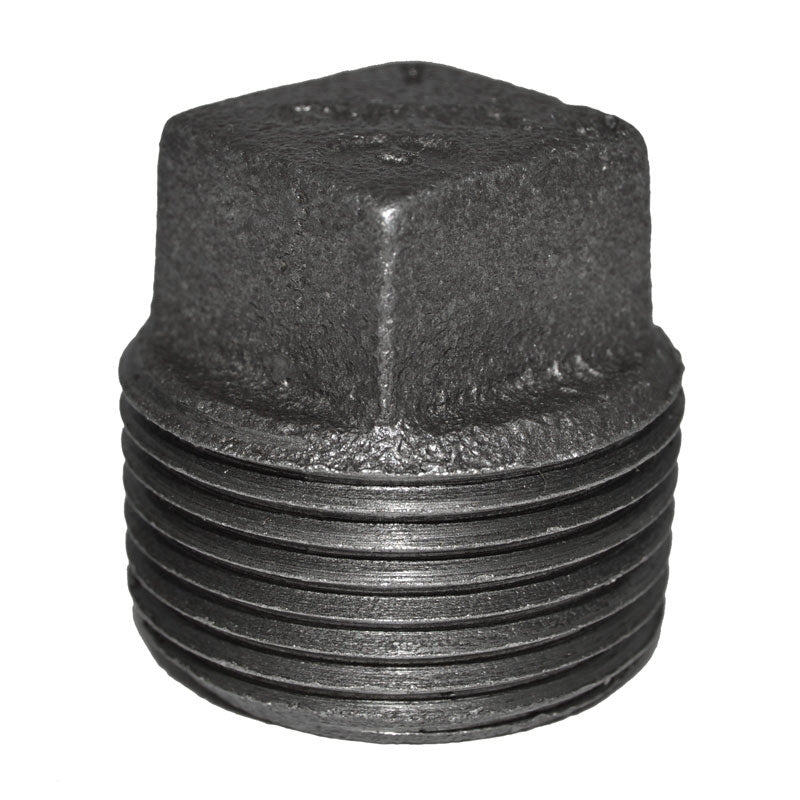 1" Black Malleable Iron Plug