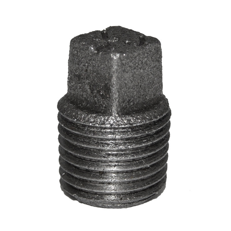 1/4" Black Malleable Iron Plug