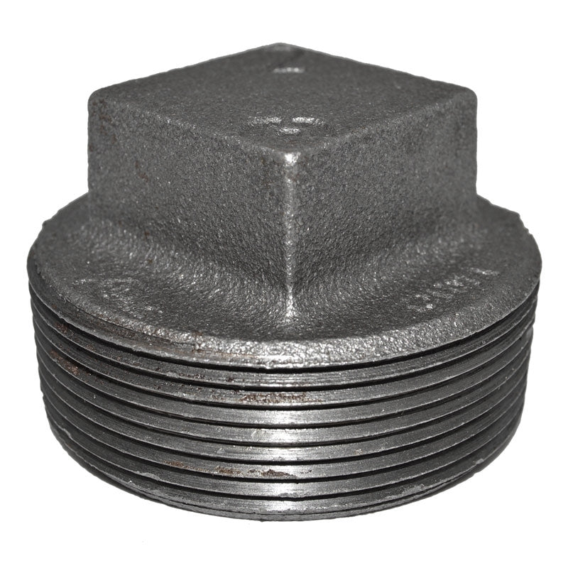 2" Black Malleable Iron Plug