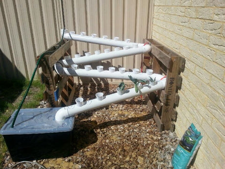 How To Build Your Own Hydroponics System with PVC Piping