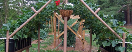 How to Make a Garden Trellis Using PVC – A DIY Project