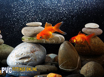 Using PVC in Fish Tank Applications
