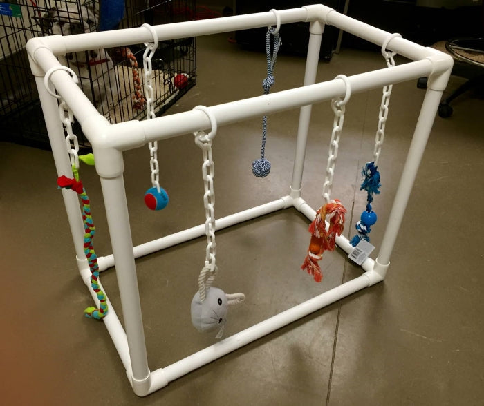 DIY PVC Puppy Play Gym by Asheville Human Society