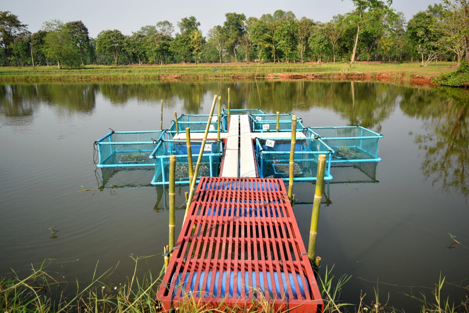 How PVC is Used on Fish Farms and Fish Hatcheries