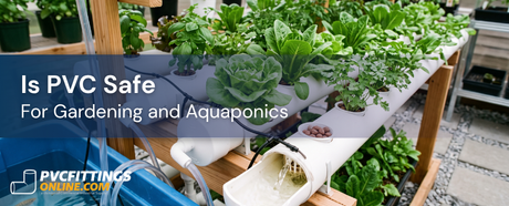 is pvc safe for gardening and aquaponics title banner
