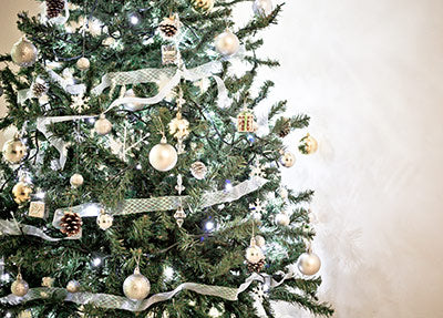 Christmas Tree Watering Hack