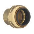 10177440 1/4" Brass Push Fit Tube Cap