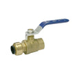 10177488 1" Brass Push Fit Female Ball Valve