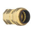 10188058 1-1/2" Lead Free Female Adapter