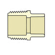 4136-101 3/4 x 1/2" CTS CPVC Male Reducing Adapter