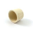 4147-005 1/2" CTS CPVC Cap