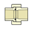 4197-007 3/4" CTS CPVC Union