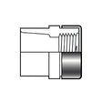 PVC Special Reinforced Female Adapter