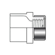 PVC Special Reinforced Reducing Female Adapter