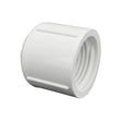 PVC Cap Fipt