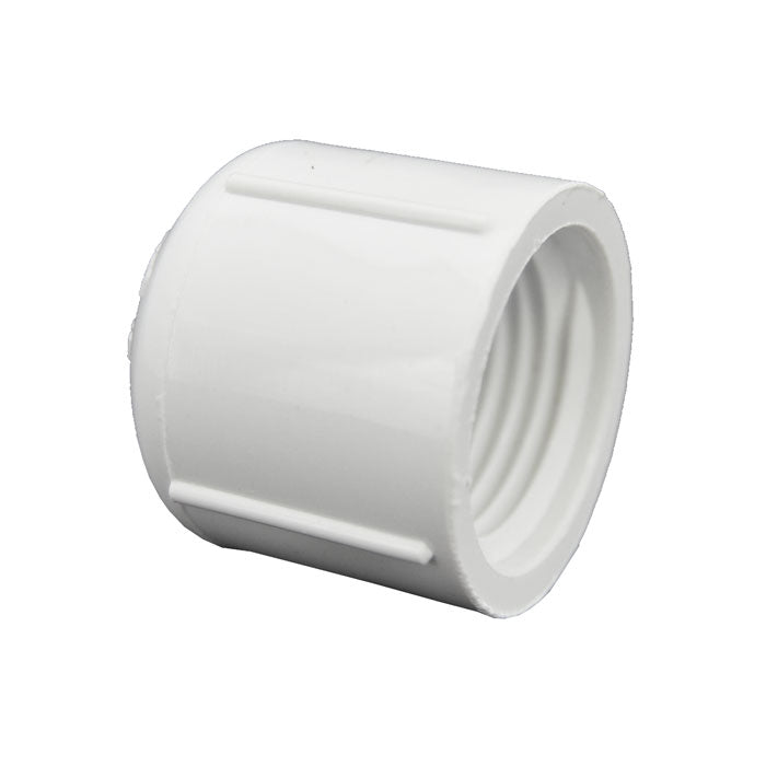 PVC Cap Fipt