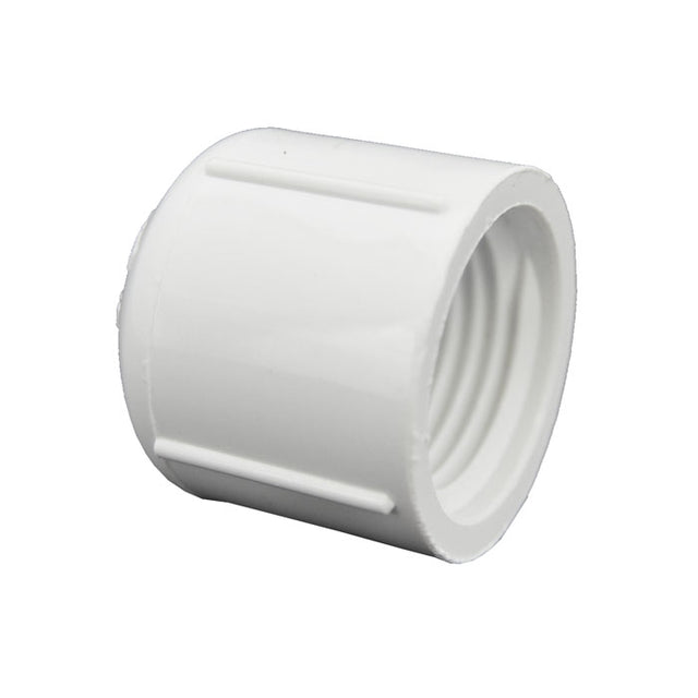 PVC Cap Fipt