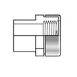 PVC Special Reinforced Spigot Female Adapter
