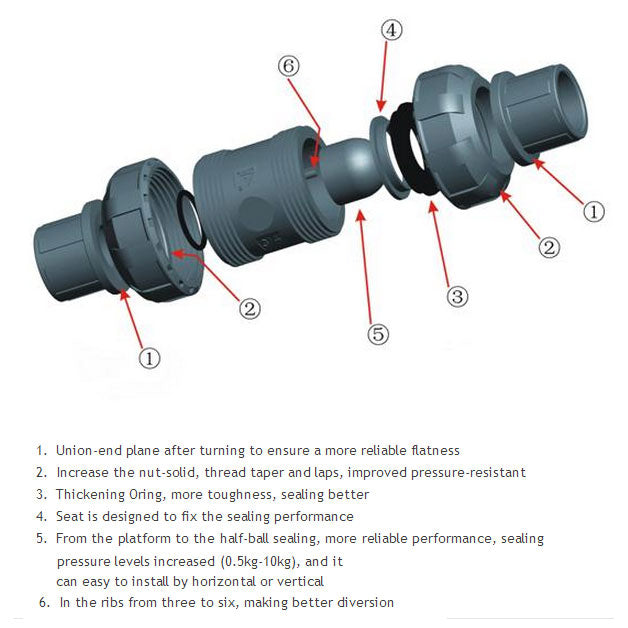 True Union Ball Check Valve