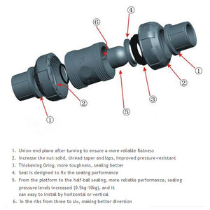 True Union Ball Check Valve - Threaded