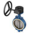 Cast Iron Gear Operated Butterfly Valve