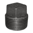 1" Black Malleable Iron Plug