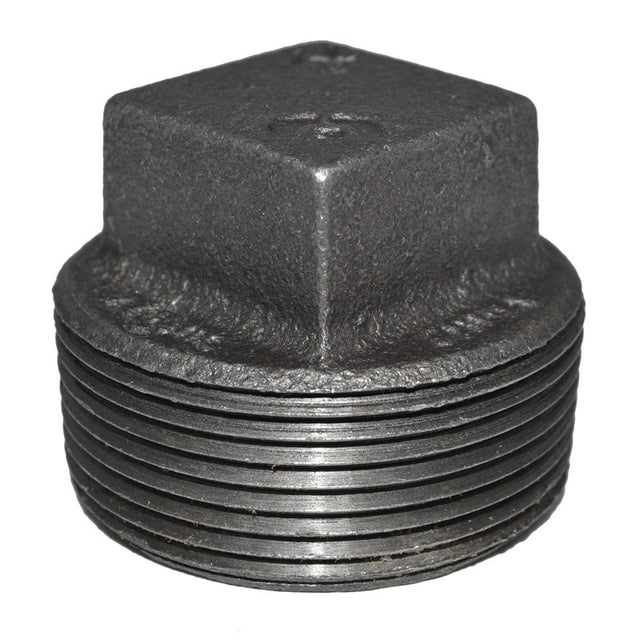1-1/2" Black Malleable Iron Plug