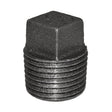 1/2" Black Malleable Iron Plug