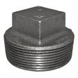 2" Black Malleable Iron Plug