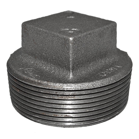 2" Black Malleable Iron Plug