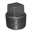 3/4" Black Malleable Iron Plug
