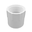 PVC Female Adapter