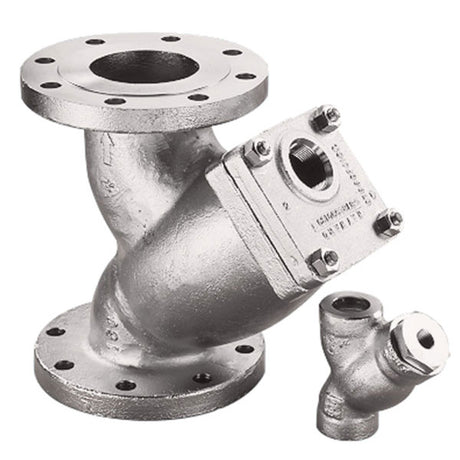 1/4" Model 85 Y-Strainer - Stainless Steel, Threaded 600# (SY085002ET20A)