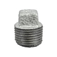 Galvanized Malleable Plug - MNPT