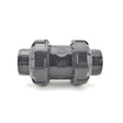 True Union Ball Check Valve